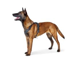 Hunter Hundegeschirr Aalborg Rindleder cognac 5