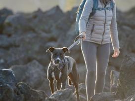 Ruffwear Front Range™ 2.0 Hundegeschirr Twilight Gray 5
