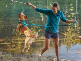 Ruffwear Front Range™ 2.0 Hundegeschirr Tumalo Teal 5