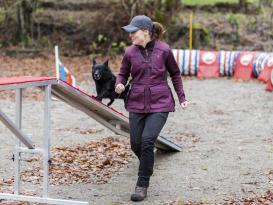 Pinewood® Dog Sports 2.0 Damen Weste pflaume/anthrazit -S- 5