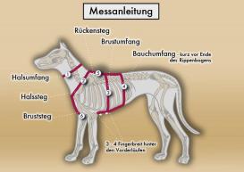 Style Snout Sicherheitsgeschirr Patch & Safe Silver M 5
