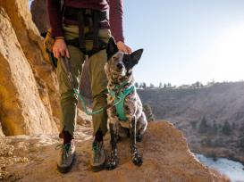 Ruffwear Knot-a-Leash™ Hundeleine Aurora Teal -S- 5