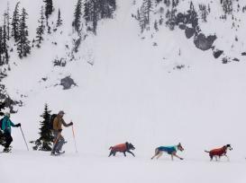 Ruffwear Confluence reflektierendes Hundehalsband Midnight Blue 36-51 cm 5