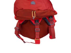 Ruffwear Palisades Pack Hunderucksack Red Sumac L/XL 5