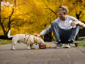Ruffwear® Flagline™ 2.0 Hundegeschirr Lichen Green L/XL 5