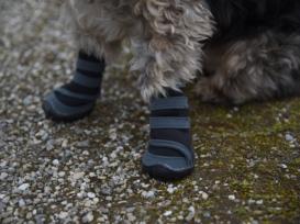 Hundeschuhe Pfotenschutz Active XS 5