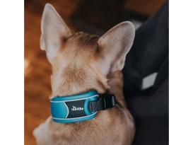 Hunter Divo Hundehalsband hellblau/grau XL 5