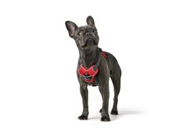 Hunter Hundegeschirr Divo rot/grau S-M 5