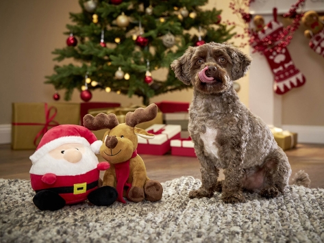 Wolters Weihnachtsmann Plüschball für Hunde