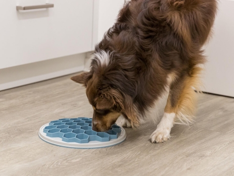 Slow Feeding Futterplatte Hive Antischlingnapf für Hunde