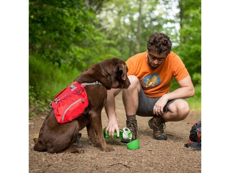 Kurgo Gourd Wasserflasche für Hund und Mensch grün