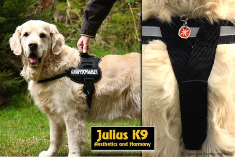 Y-Gurt für Julius K9 Power Hundegeschirr