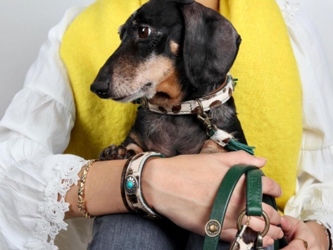 DWAM Ivy Halsband für Hunde