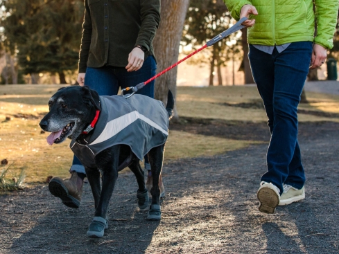 Ruffwear Knot-a-Long™ Kurzführer Hundeleine Red Sumac