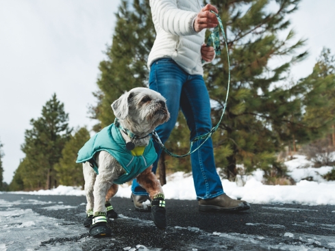 Ruffwear Front Range™ 3.0 Hundeleine Sweeping Sage