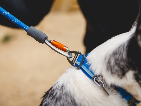 Ruffwear Knot-a-Leash™ Hundeleine Blue Pool