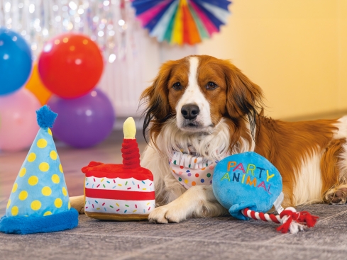 Beeztees Plüsch Partyballon Hundespielzeug