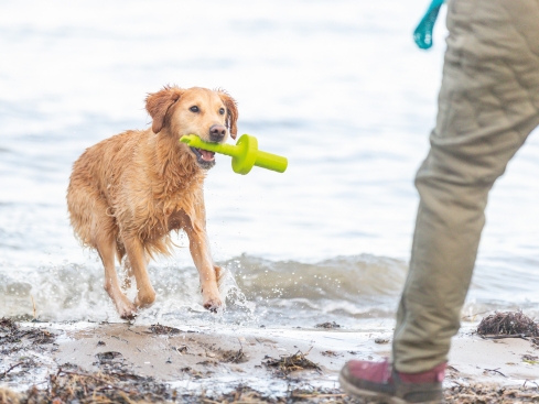 Aqua Toy MOT® Aqua Wasserspielzeug für Hunde