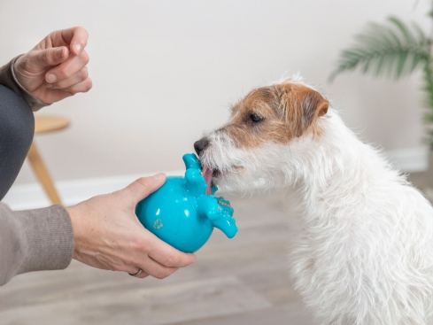 Snack-Oktopus Spielzeug für Hunde