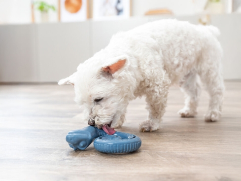 Snack Snake Hundespielzeug Medium