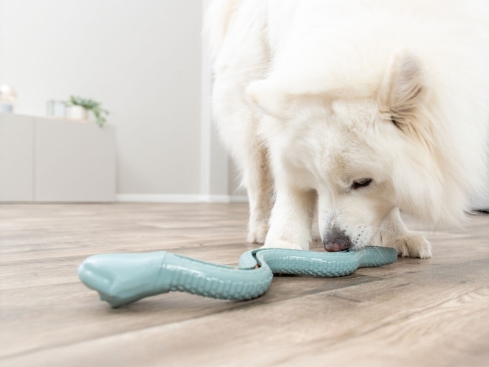 Snack Snake Hundespielzeug XL grün