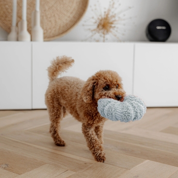 District 70 Hunde-Schnüffelspielzeug Daisy merengue