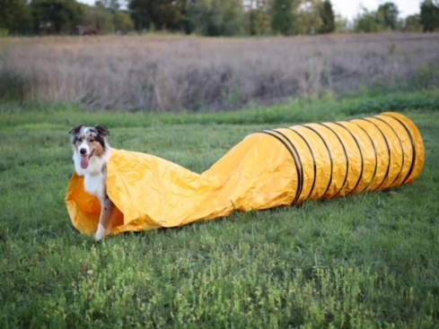 B-Ware Hunde Profi Agility Sack-Tunnel 3 m