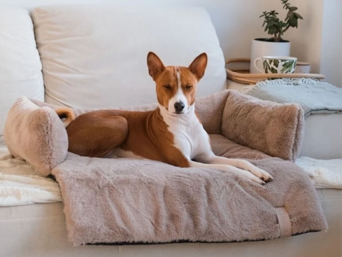 District 70 Nuzzle Schlafsofa für Hunde taupe
