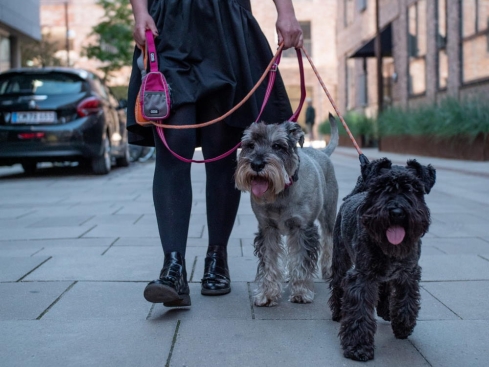 Dog Copenhagen Urban Freestyle V2 Hundeleine Cassic Red