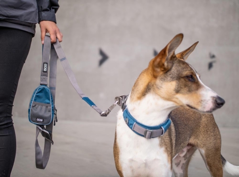 Dog Copenhagen Pouch Organizer V2 Hunting Green