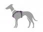 Hunter Hundegeschirr Divo violett/grau 5