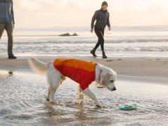 Ruffwear Undercoat™ Hunde-Neoprenanzug Campfire Orange 6