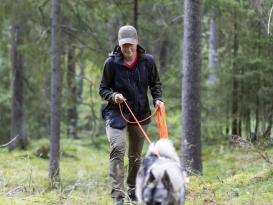 Pinewood® Dog Sports 2.0 Damen Weste schwarz/anthrazit -S- 6