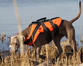 Rukka Pets Schwimmweste für Hunde Safty orange XL 6