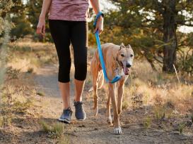 Ruffwear Web Reaction™ Martingal Hundehalsband Blue Dusk 6