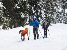 Ruffwear Polar Trex™ Hundeschuhe schwarz -70 mm- 2er Set 6