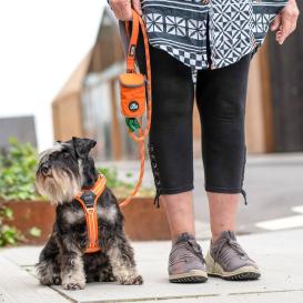 Dog Copenhagen Urban Rope V3 Hundeleine Orange Sun L (11 mm) 6