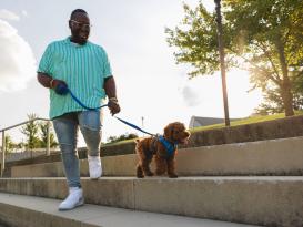 Ruffwear Front Range™ 3.0 Hundegeschirr Blue Pool S 6