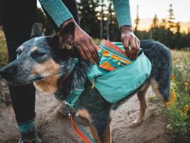 Ruffwear Front Range™ Hunderucksack 2.0 River Rock Green XS 6