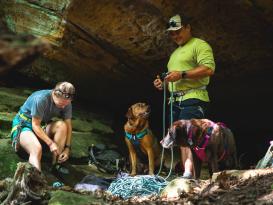Ruffwear® Flagline™ 2.0 Hundegeschirr Basalt Gray L/XL 6
