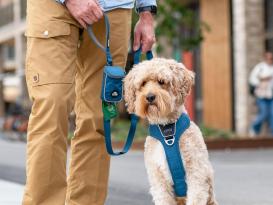 Dog Copenhagen Urban Trail™ V3 Hundeleine Ocean Blue L 6