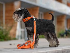 Dog Copenhagen Urban Trail™ V3 Hundeleine Orange Sun L 6