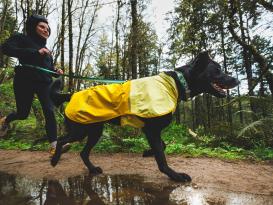 Ruffwear Sun Shower™ Regenmantel für Hunde Mineral Yellow 6