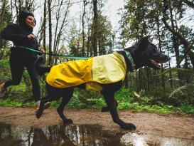 Ruffwear Sun Shower™ Regenmantel für Hunde Mineral Yellow XL 6