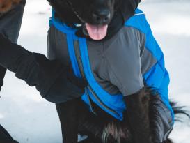 Ruffwear Vert Coverall Winter-Hundejacke Blue Pool 6