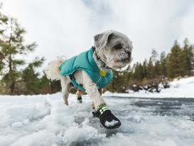 Ruffwear Summit Trex™ Hundeschuhe Obsidian Black 6