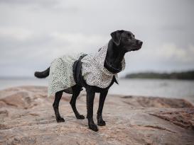 Paikka reflektierender Hunde-Regenmantel 2.0 30 6