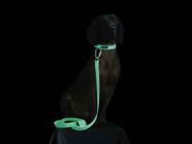 Paikka fluoreszierendes Halsband für Hunde Ombre 6