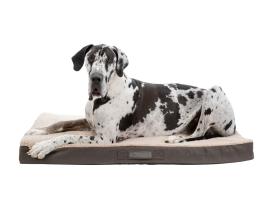 Orthopädische Vital Hunde-Matratze Bendson braun/beige 80 x 60 cm 6