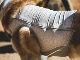Ruffwear Swamp Cooler Zip Kühlweste für Hunde Graphite Gray XL 6
